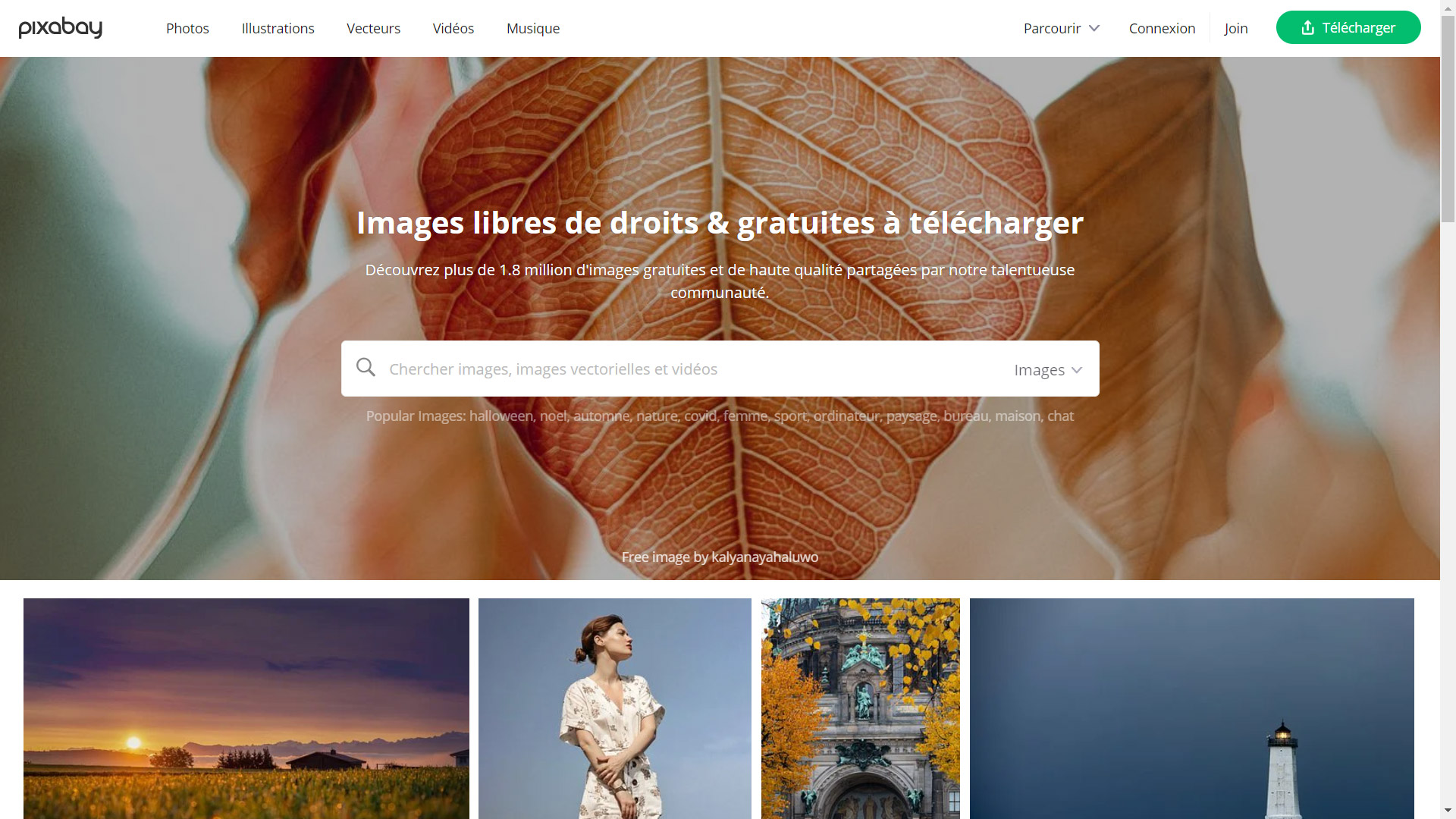 Pixabay logo banner